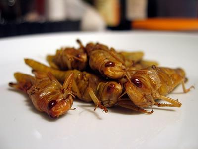 Belalang goreng