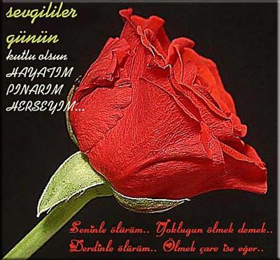 Canım Dediğime