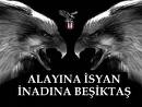 isyn
