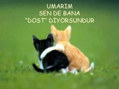Umarım Sen de Bana Dostum Diyorsundur
