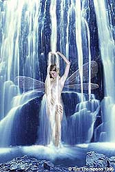 Water Faerie