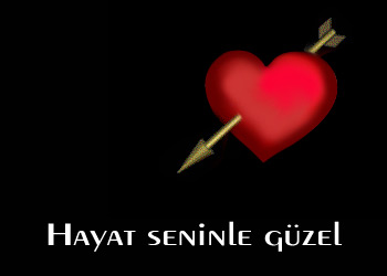 Seni seviyorum 6