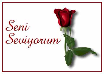 Seni seviyorum 2