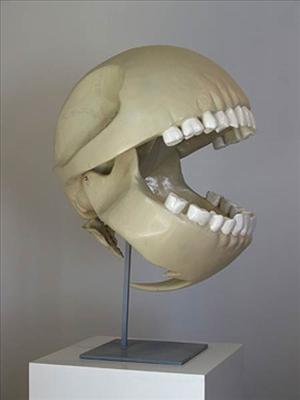 Pac-man's skull