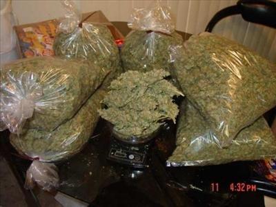 weed