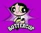  buttercup