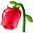flower 4 u
