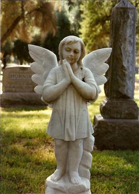 Guardian Angel