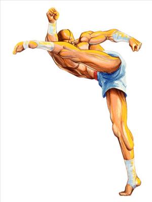 Sagat