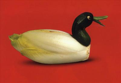 ördekcik