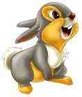 thumper