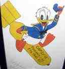 donald duck