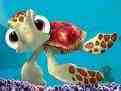 squirt