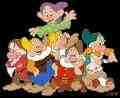 7 dwarfs