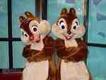 chip n dale