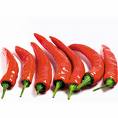 Peppers