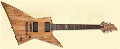 ESP LTD FX-401 SM