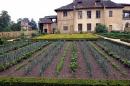 a garden