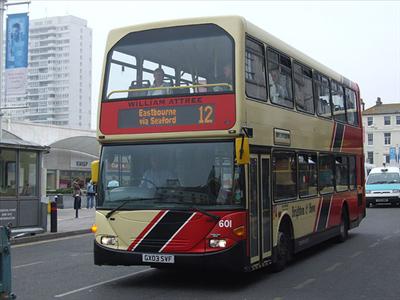 A Brighton & Hove Bus