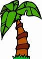 Palm Tree