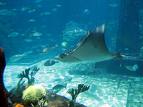 Underwater Paradise