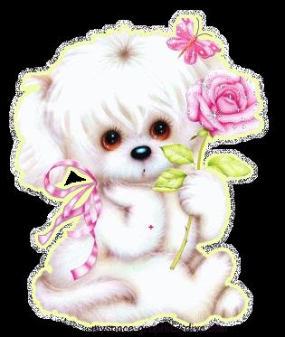 cat cute