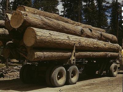 Attacked Logging Truck