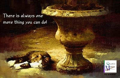 PERSEVERE - THERE'S ALWAYS ONE MORE THING YOU CAN DO