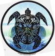 blue turtle