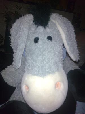 Donkey Donkey 