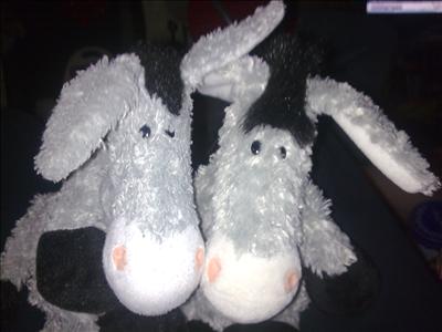 wonkey and itonkey donkey 