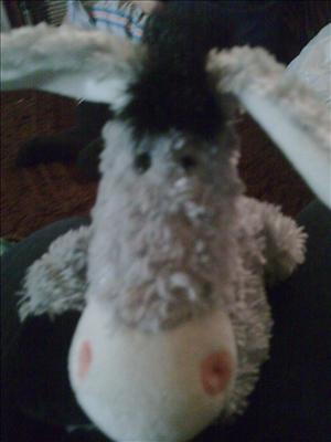 itonkey donkey 