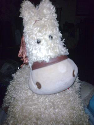flonkey donkey 