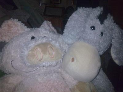 Bonkey Donkey and Rugby the Pig