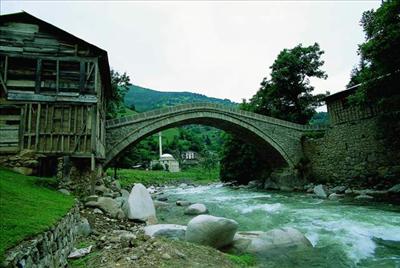 rize 6
