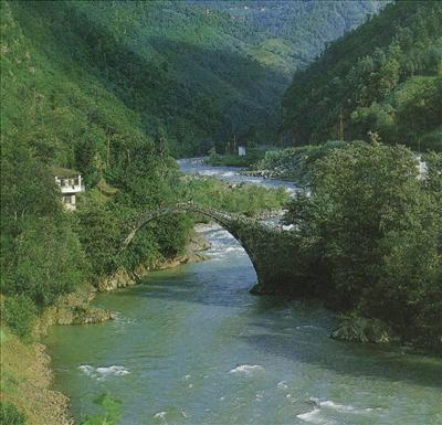 rize 9