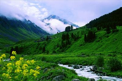 rize 8