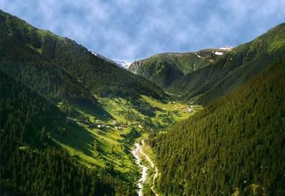 rize 5