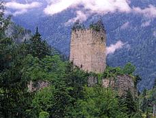 rize 13