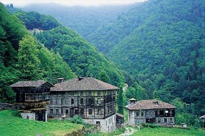 rize 3
