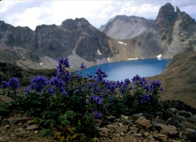 rize 4