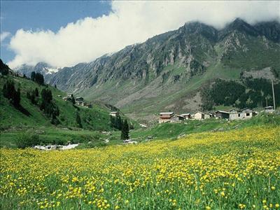 rize 10