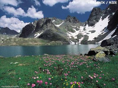 rize 12