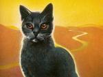 stormfur