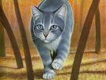 silverstream