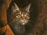 tigerstar