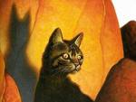 bramblcaw