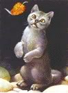graystripe