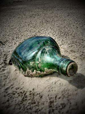 Bottle