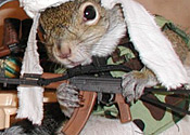 Terror Squirrel